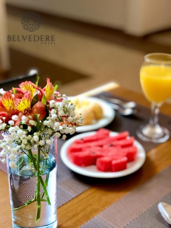Hotel Belvedere Araras - Facil Acesso Hospital Sao Leopoldo E Faculdades エクステリア 写真